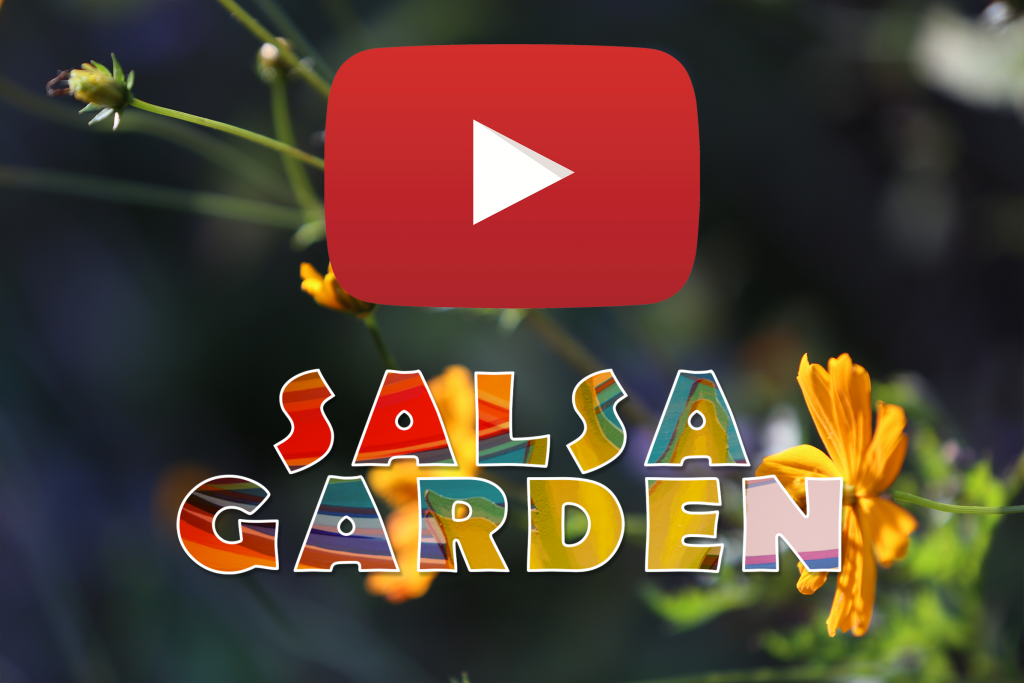 Salsa Garden Music Video